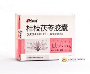 Капсулы "Гуйчжи Фулин" (GUIZHI FULING)