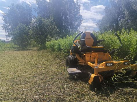 Koszenie Trawy Nieu Ytk W Kosiarka Kosa Wycinka Zr Bkowanie