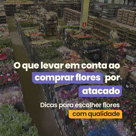 Roda Flores Comércio Atacadista - Comprar flores por atacado requer atenção a detalhes que garantem a ...