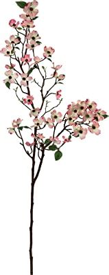 Amazon Dulrlly Pcs Artificial Pussy Willow Branches For Tall Vase In Fake Willow Stems