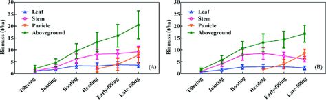 Temporal Variation In The Biomass Of Individual Organs And The