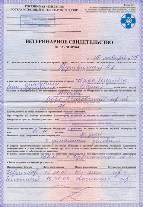 Провоз собак через границу