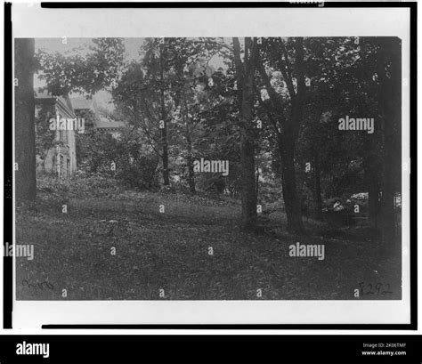 Zoo C1895 Photograph Showing Wooded Area At The National Zoological