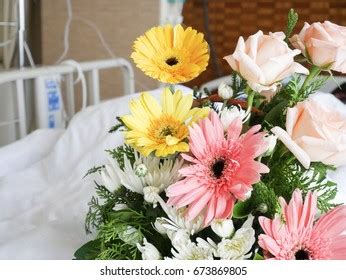 Flowers In Hospital Stock Photos - 21,089 Images | Shutterstock