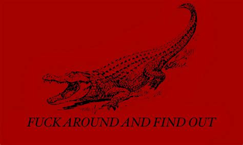 Alligator Fuck Around And Find Out Canvas Patch Etsy Schweiz
