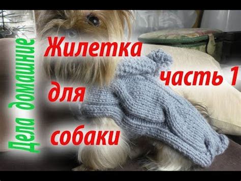 Жилетка для собаки.Как связать жилетку для собаки своими руками.Часть 1 ...
