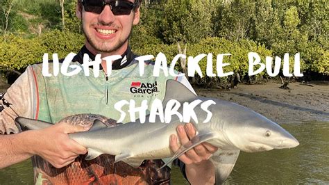 Brisbane River | Light Tackle Bull sharks! - YouTube