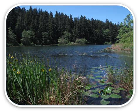 city strategic plan camas wa