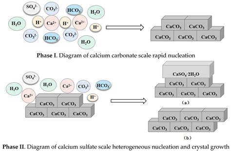 Crystals Free Full Text Co Deposition Mechanisms Of Calcium Sulfate