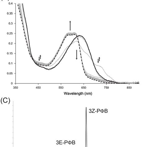 Enzymatic Assay Of Tomato P B Synthase A The UV Visible Spectrum Of