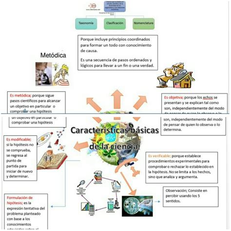 Tareas Biologia Mapa Mental Caracteristicas Basicas De La Ciencia