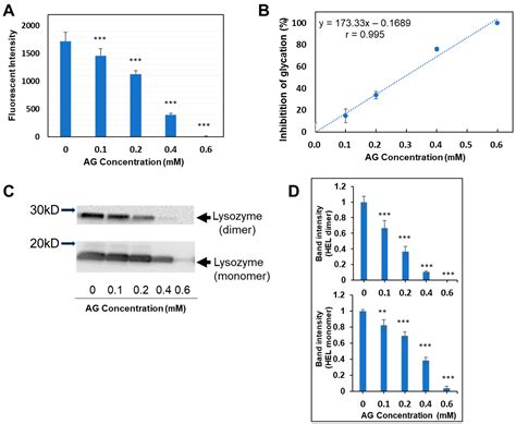 Antioxidants Free Full Text Novel Fluorometric Assay Of