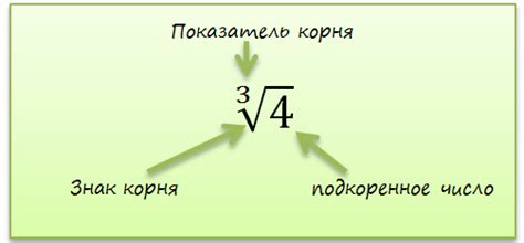 Корень из числа. Радикал. Корень определение. Извлекать корень ...