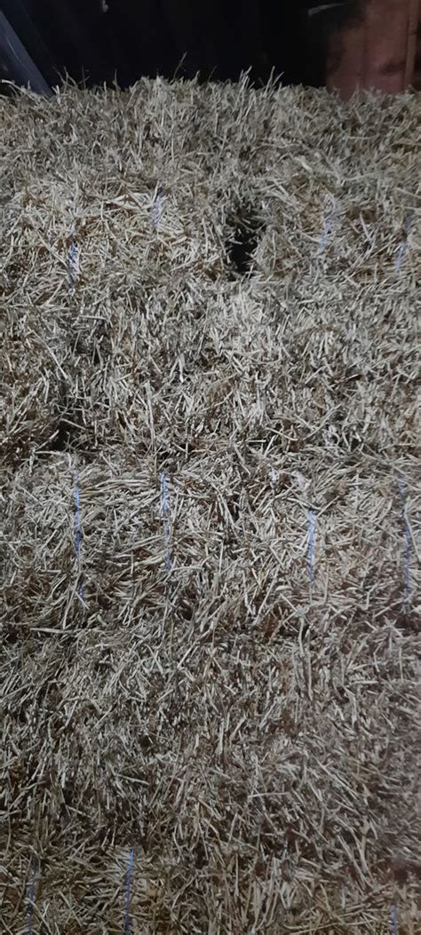 Продам сухие тюки пшеничной соломы. Для подстилки или мульчи. Вес тюка ...