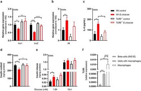 Full Article Gut Derived Bacterial Flagellin Induces Beta Cell