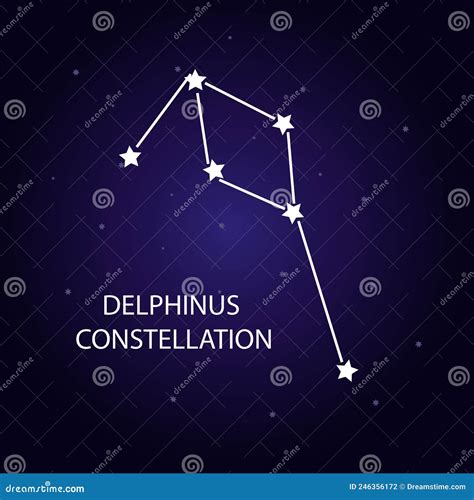 The Constellation Delphinus With Bright Stars Vector Illustration