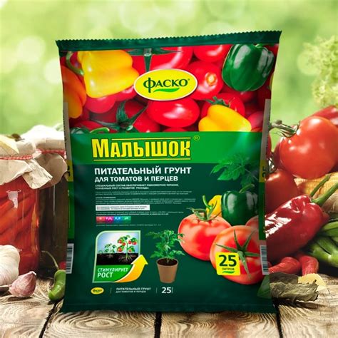 Помидоры Верочка F1: описание сорта, характеристика, уход и выращивание ...