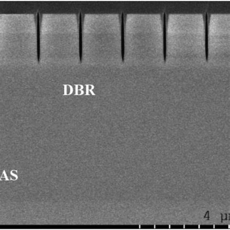 Scanning electron microscope (SEM) image of a cross-section of the ...