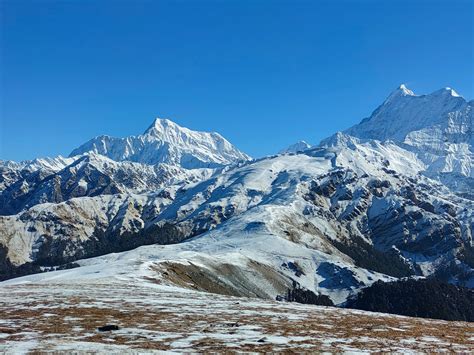 Trekking through the Snowy Paradise: Ali Bedni Bugyal Trek in February