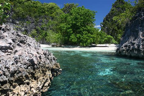 Diving in Moluccas