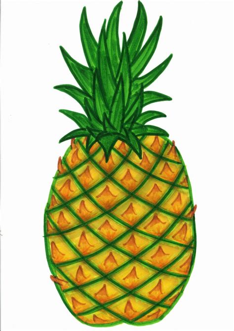 Gambar Buah Kartun Nanas Gambar Bagian Tumbuhan