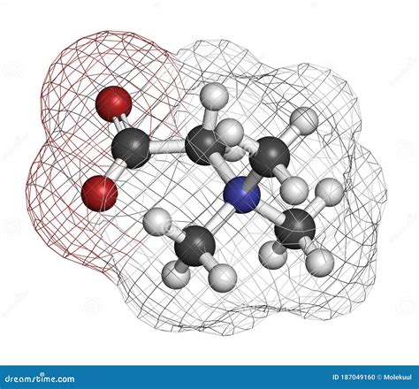 Trimethylglycine Molecular Structure 3d, Flat Model, Betaine ...