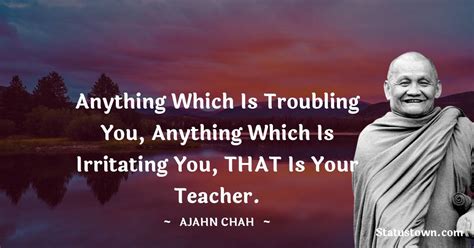 20 Best Ajahn Chah Quotes