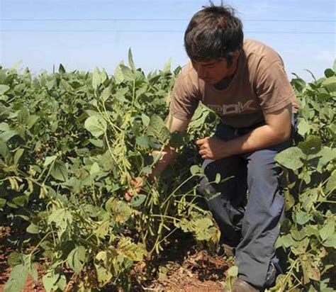 Crecimiento económico de América Latina no reduce el trabajo informal Infobae
