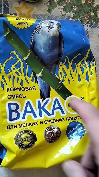 ХОРОШИЙ КОРМ ДЛЯ ПОПУГАЕВ ВАКА - YouTube