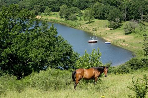 Tour Du Tarn Cheval Paulinet Mont Roc Guide Tarn Aveyron