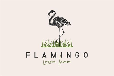 Flamingo Logo Vector Premium Vector Graphic By Byemalkan · Creative Fabrica