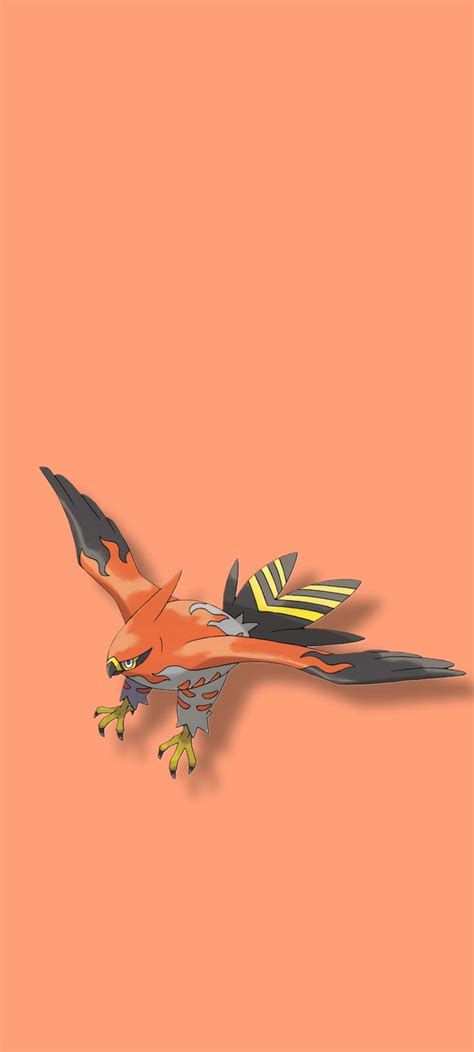 Talonflame Wallpaper