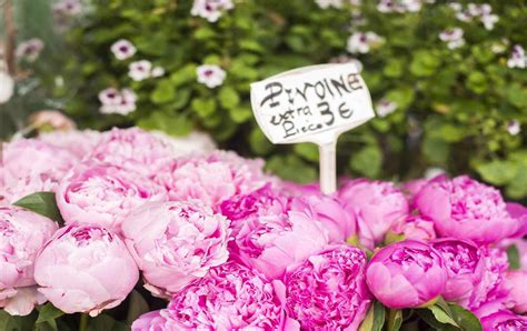 Paris Florists: Discovering French Flower Traditions - Paris Perfect