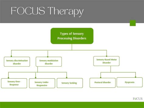 Sensory Processing Disorders Focus Therapy