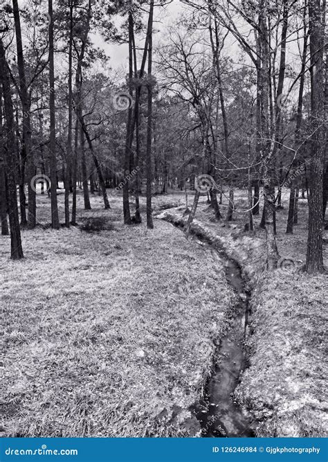 Cynthia woods woodlands tx schedule changes affect upcoming shows 8