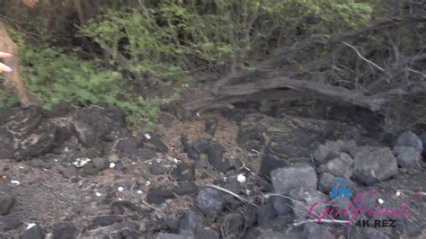 You Explore Then Head Home To Fuck Melody