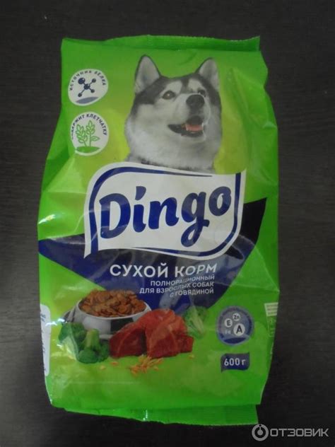 Отзыв о Сухой корм для собак Dingo | возможно,что только моя собака ...