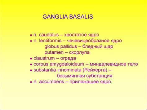 Базальные ганглии - online presentation