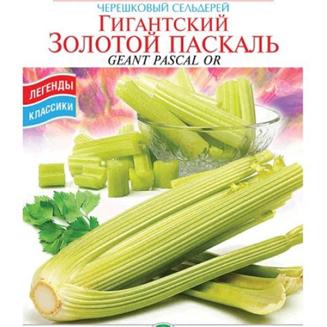 Сельдерей черешковый Гигантский Золотой Паскаль