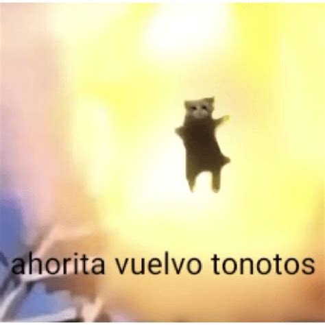 Tonotos Funny Memes Meme Stickers Funny Images