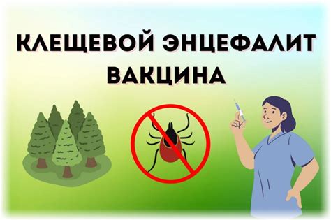 Вакцинация против клещевого энцефалита, вакцины и схемы