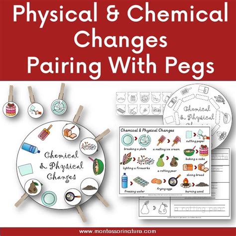 Physical And Chemical Changes Pairing Fine Motor With Pegs Free ...