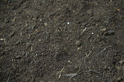 Калифорнийские черви и биогумус в Узбекистане - Home