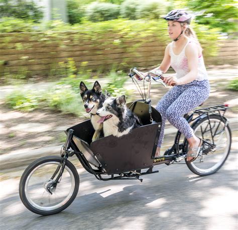 Bike Czar: How to Transport Dogs By Bike | Biking with dog, Dog bike ...