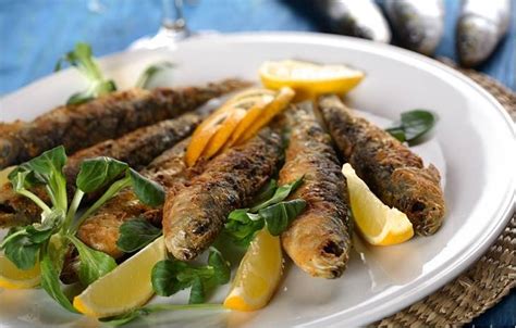 Ставрида – описание, виды, где обитает, питается, польза, фото