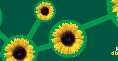 Welkom Bij Hidden Disabilities Sunflower Scheme Onze Wereldwijde Partners