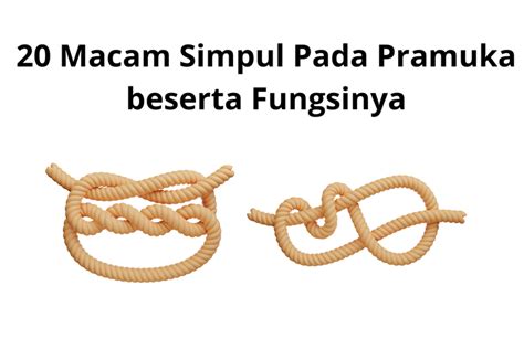 Macam Simpul Pada Pramuka Beserta Fungsinya