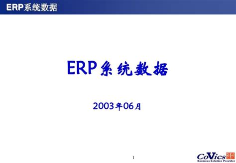 Erp系统数据介绍 Word文档在线阅读与下载 无忧文档