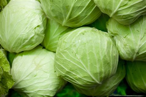 cabbage  fruit  vegetable wonders    season  year