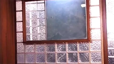 Steam Gay Results Xhamster